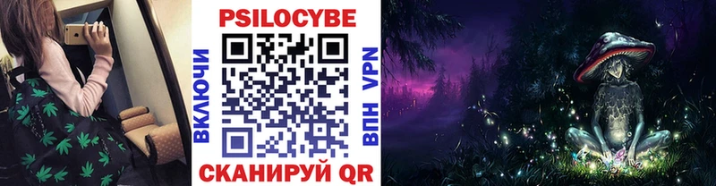 Купить где  Козельск  Галлюциногенные грибы Psilocybe 